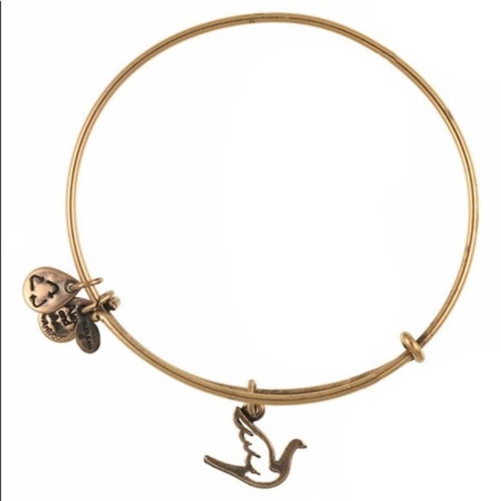 Alex and Ani Sacred Dove bracelet